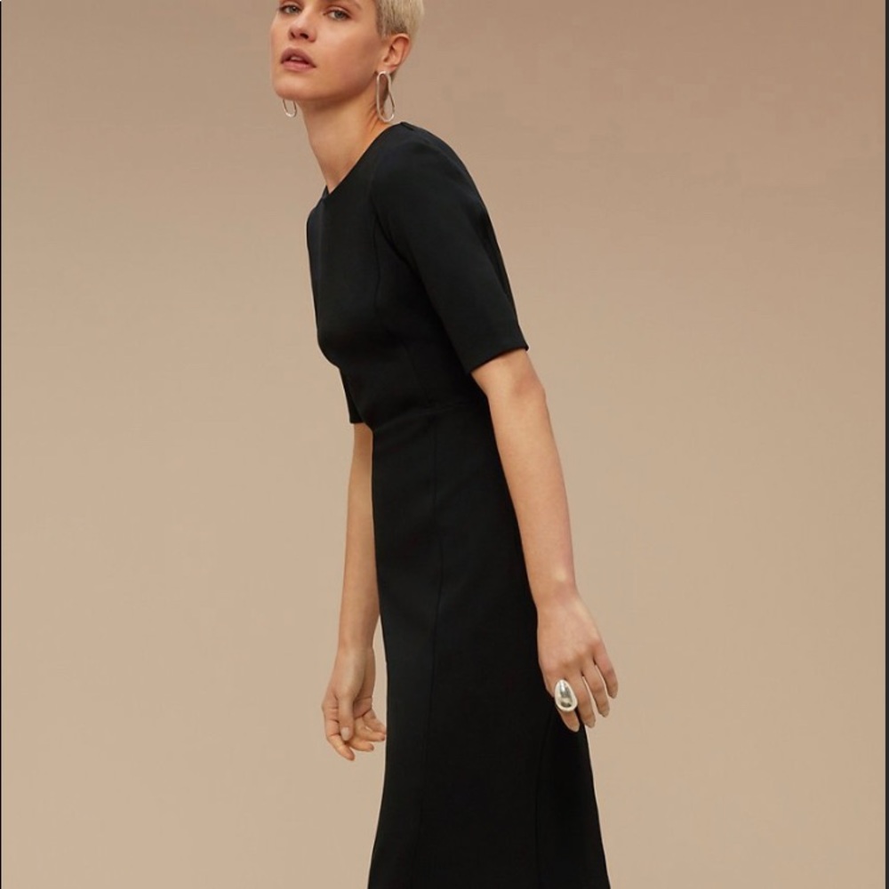 Aritzia Babaton Kramer Dress